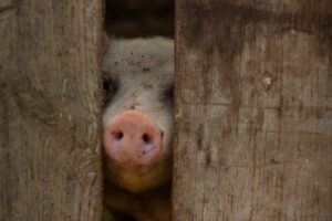 介護転職を年末年始に働ける施設はどこですか？