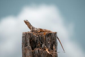 介護転職でリーダー役職の求人を探すにはどうすればいい？
