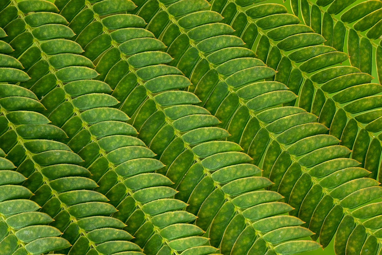 介護転職におけるブランクのある方が働きやすさを比較するポイントは？