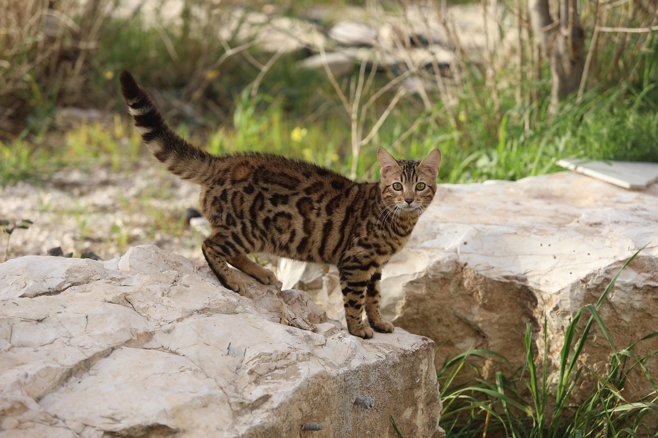 介護転職で失敗しないためのチェックリストは？