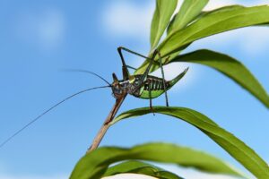 無資格の介護転職で採用されるコツは？