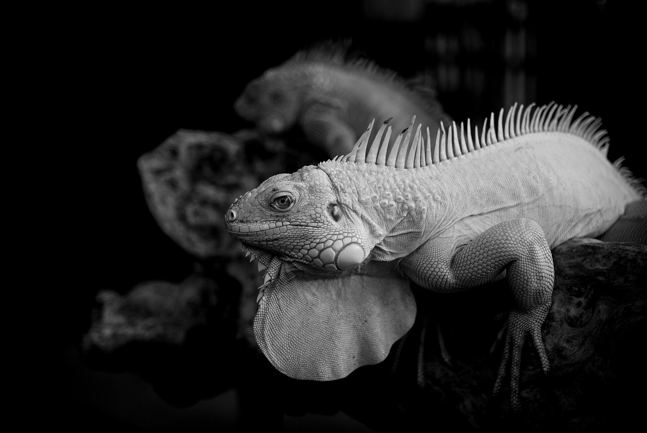 パートで介護転職を成功させるための失敗しない働き方とは？