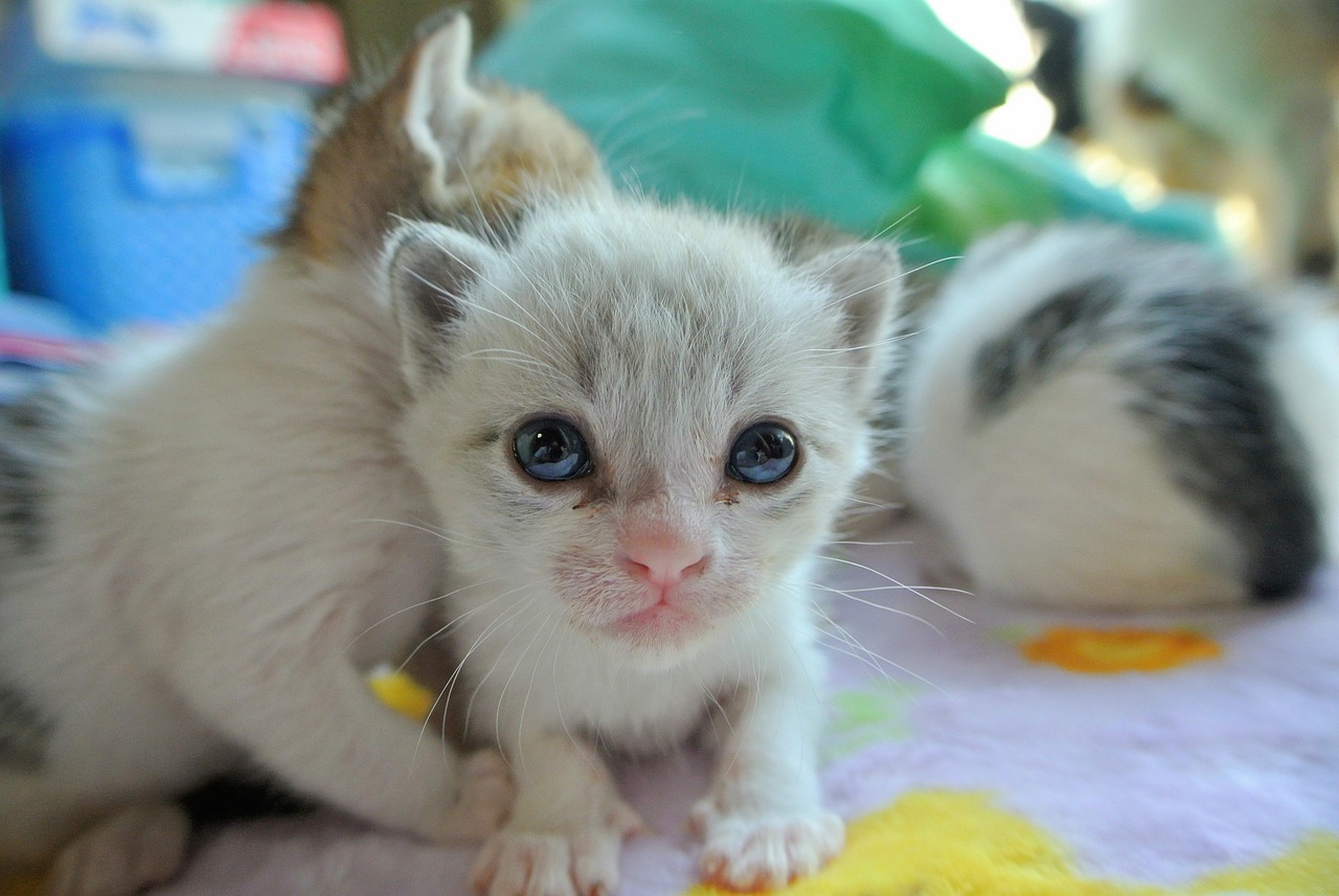 介護の転職をすぐ辞めたい場合は我慢すべき？