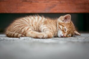 介護転職で睡眠リズムを整える方法は？
