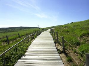 介護転職のSNS口コミをどう参考にするべきか？
