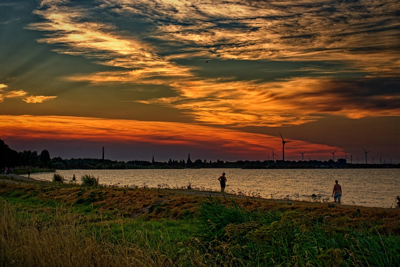 介護転職ランキングサイトの見方を徹底解説しますか？