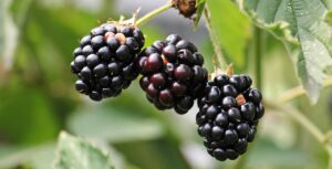 ブラック介護施設の見分け方を転職前に知っておくべき理由は？