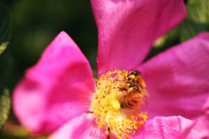 介護転職でインシデント対応について聞くべき質問は？