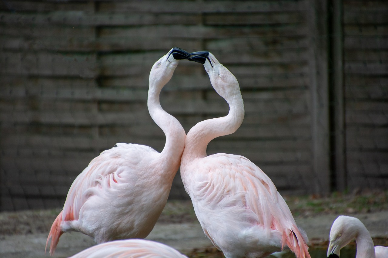 介護転職でワンオペ回避を実現するための失敗しない職場選びとは？
