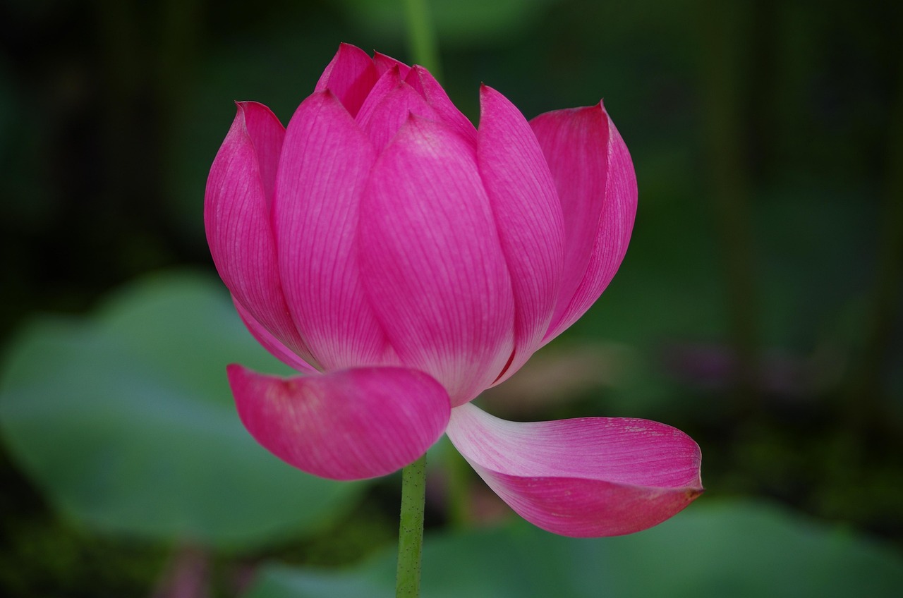 介護転職と引っ越しを同時進行で行う際の失敗しないコツは？